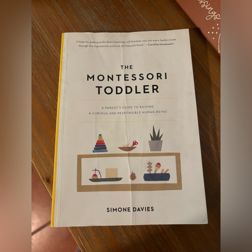 The Montessori Toddler